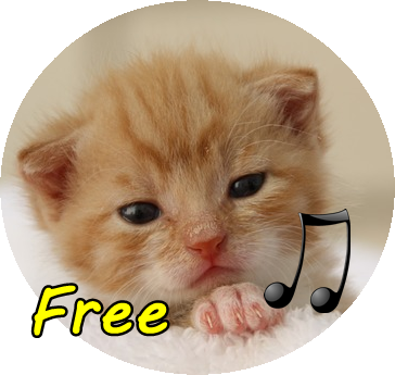 call Cat Screen 3