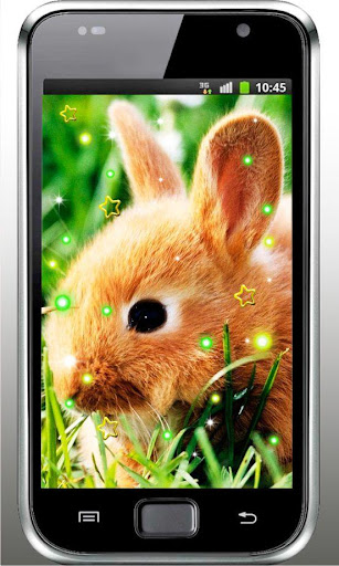 Funny Bunnies live wallpaper