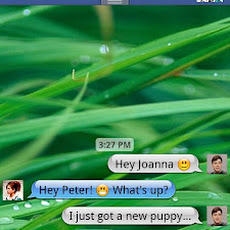 Beejive for Yahoo Messenger