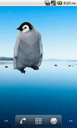 Emperor Penguin Sticker poster 5