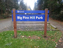 Big Finn Hill Park