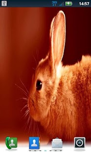 Free Download Color Bunny LWP Pro APK for PC