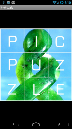 Picture Puzzle