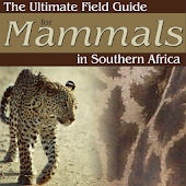 Ultimate Mammals Africa
