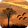 Sunset Live Wallpaper Apk