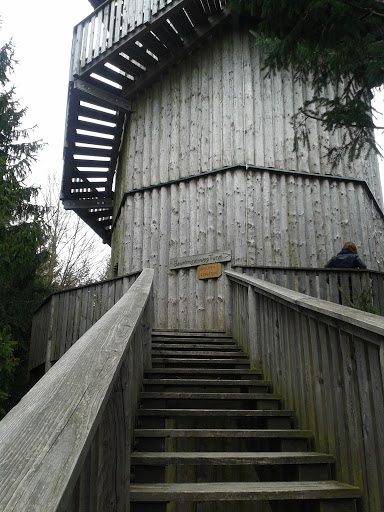 Baumkronenweg-Turm