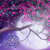 ramadan beautiful Lwp icon