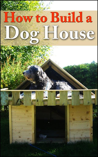 How To Build A Dog House