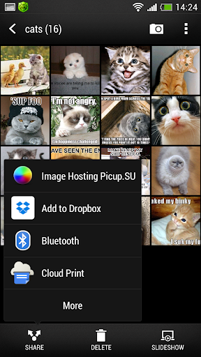 Image hosting Picup.SU