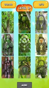Free Download Custard apple Jigsaw Puzzles APK for Android
