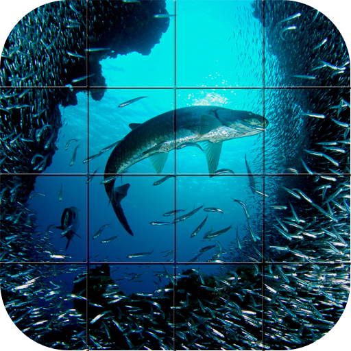 Tile Puzzle - Ocean Life LOGO-APP點子