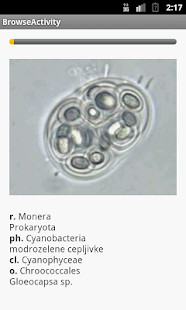 Download SistematskaBotanika APK