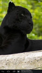 Download Black Panther APK for Android