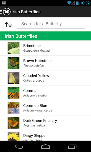 免費下載書籍APP|Irish Butterflies app開箱文|APP開箱王