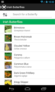 How to get Irish Butterflies lastet apk for android