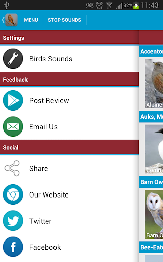 免費下載教育APP|Spanish Birds Sounds app開箱文|APP開箱王