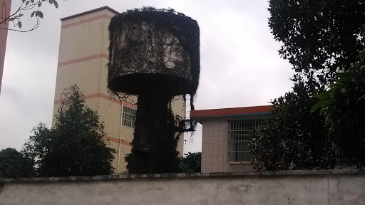 废弃的水塔