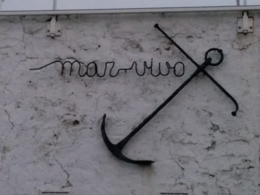Marvivo