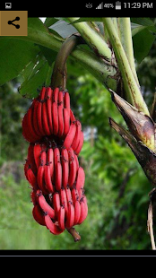 حقائق و معلومات لا تصدق - náhled