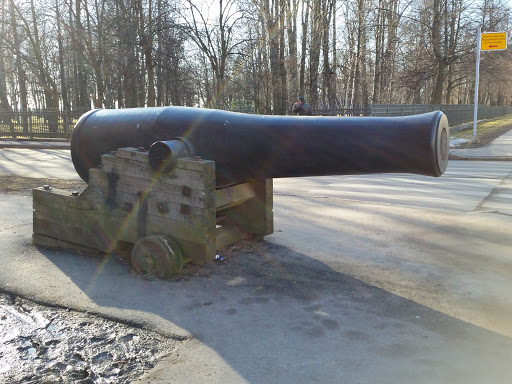 60 Pound Cannon