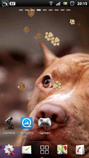 免費下載個人化APP|Pitbull Dog Live Wallpaper app開箱文|APP開箱王