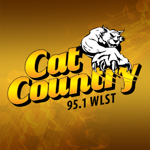 Cat Country 95.1.apk 6.23