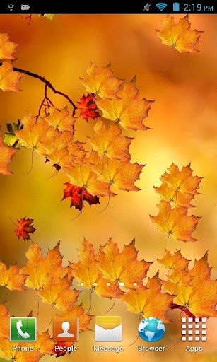 Autumn Branch Live Wallpaper