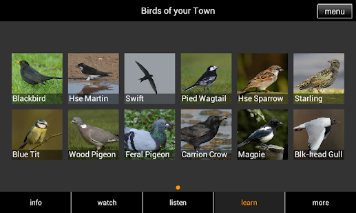 Birds of your Town Screenshots 23