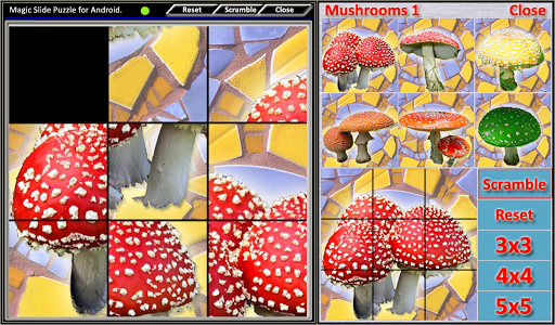 Magic Slide Puzzle Mushrooms 1