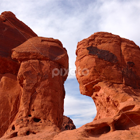 Valley of Fire by Sydney Rohmann - Landscapes Deserts