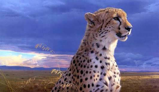 Lastest Cheetah Wallpaper APK for PC