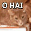 Lolcat Builder logo