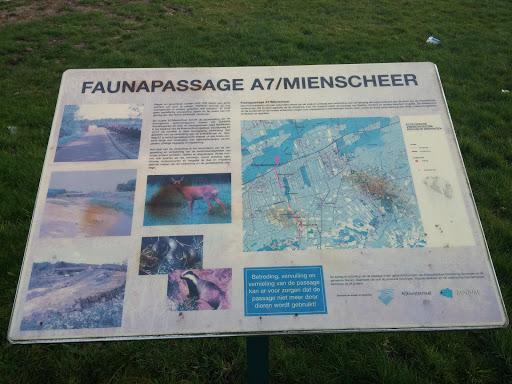 Faunapassage Mienscheer