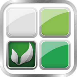 Green Block for PC and MAC