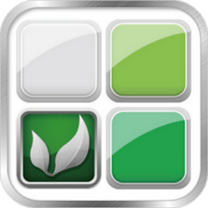Green Block 1.4.6
