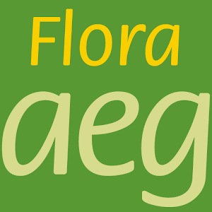 Flora FlipFont logo