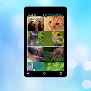 How to install Animals Wallpapers patch 1.0 apk for android
