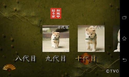 Android application 豆助～和風総本家 八、九、十代目豆助写真集 screenshort