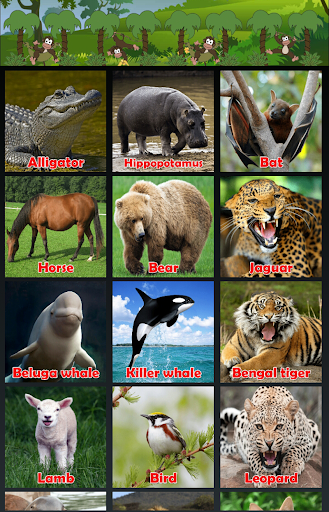 Animal Sounds