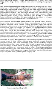 How to download Memancing - TIPS & TUTORIAL 1.0 apk for android