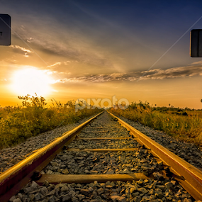Exit Yard by Liquid Lens - Landscapes Sunsets & Sunrises