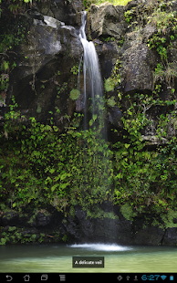 Free Download Maui Photography APK