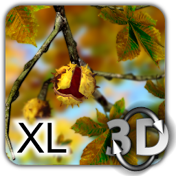 Autumn Leaves in HD Gyro 3D XL v1.0