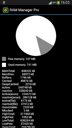 RAM Manager Pro 