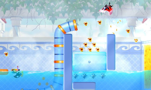 Shark Dash HD