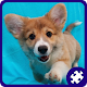 Dog Puppies Puzzle APK