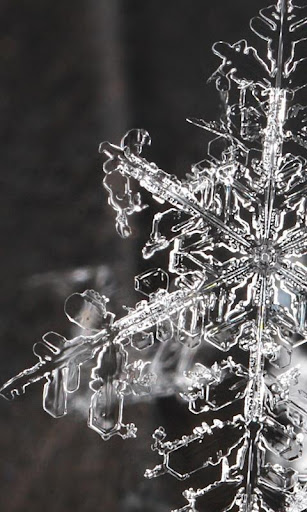 Snowflake wallpaper