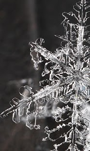 How to install Snowflake wallpaper lastet apk for laptop