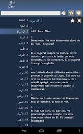 Quran in Romanian poster 13