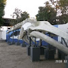 Fin Whale skeleton